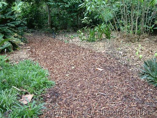 Mulch pathway 